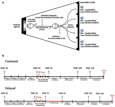 Impulsive Action and Impulsive Choice Are Differentially Expressed in Rats Depending on the Age at Exposure to a Gambling Task